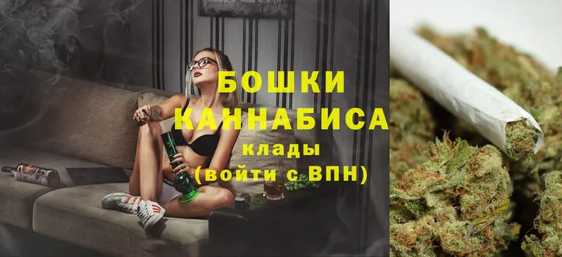 Бошки Шишки OG Kush  нарко площадка клад  Егорьевск  купить наркотик 